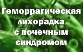 Что можно есть при геморрагической лихорадке с почечным синдромом