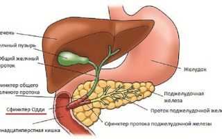Постхолецистэктомический синдром что это такое
