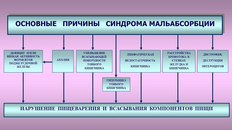 Что такое синдром мальабсорбции и мальдигестии: симптомы и лечение