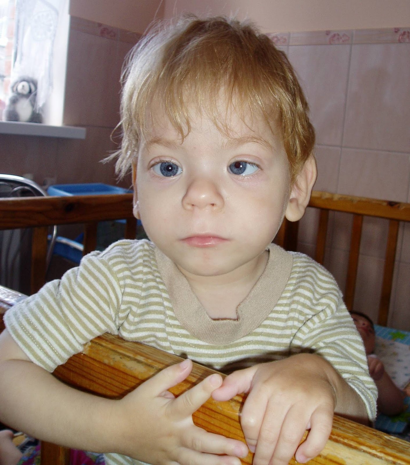 Общее понятие и фото