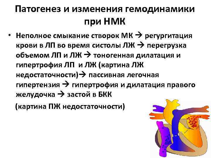 Патогенез и изменения гемодинамики Патогенез при НМК • Неполное смыкание створок МК регургитация крови Патогенез и изменения гемодинамики Патогенез при НМК • Неполное смыкание створок МК регургитация крови