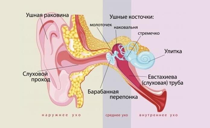 Зияние евстахиевой трубы